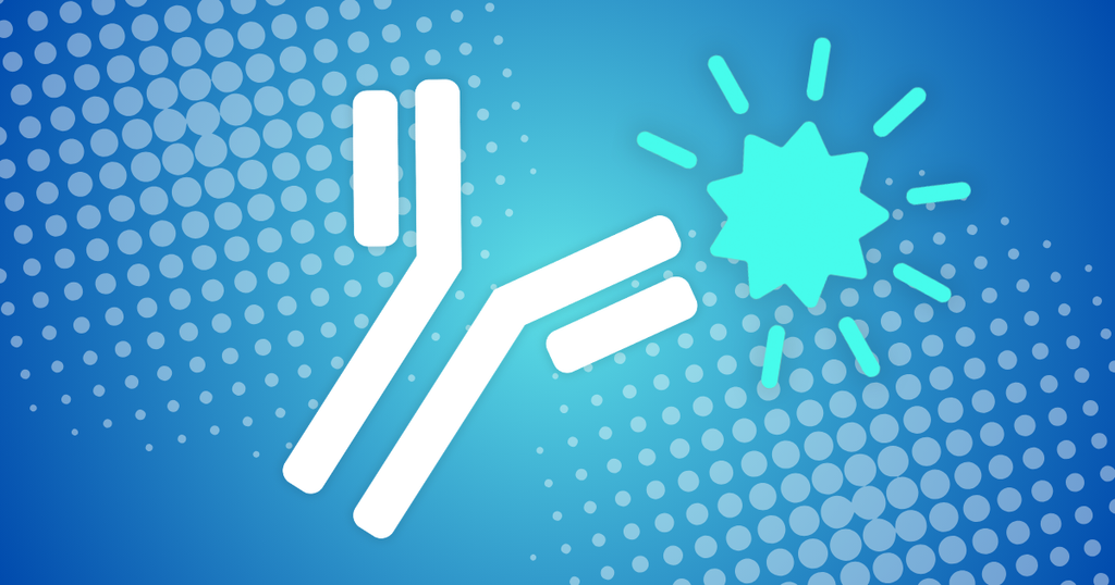 One-Hour Fluorescent Labeling—No Kits Needed