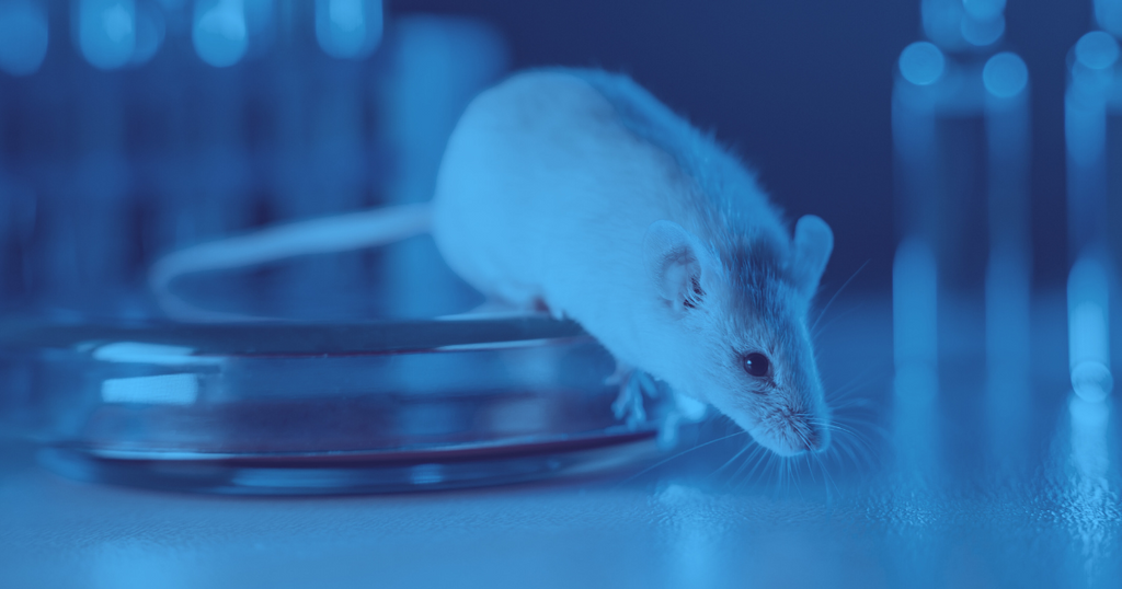 The Role of Biosimilar Antibodies in Advancing Drug Discovery