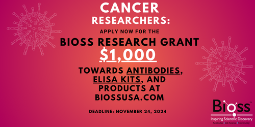 November Cancer Research Grant