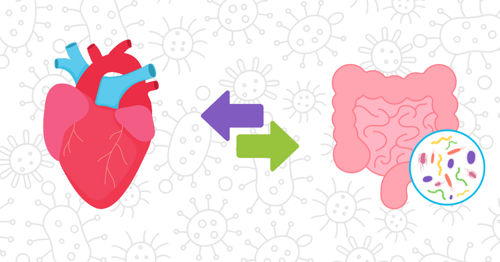 The Gut-Heart Axis: How Gut Microbes Influence Cardiovascular Health and the Tools to Study Their Metabolites