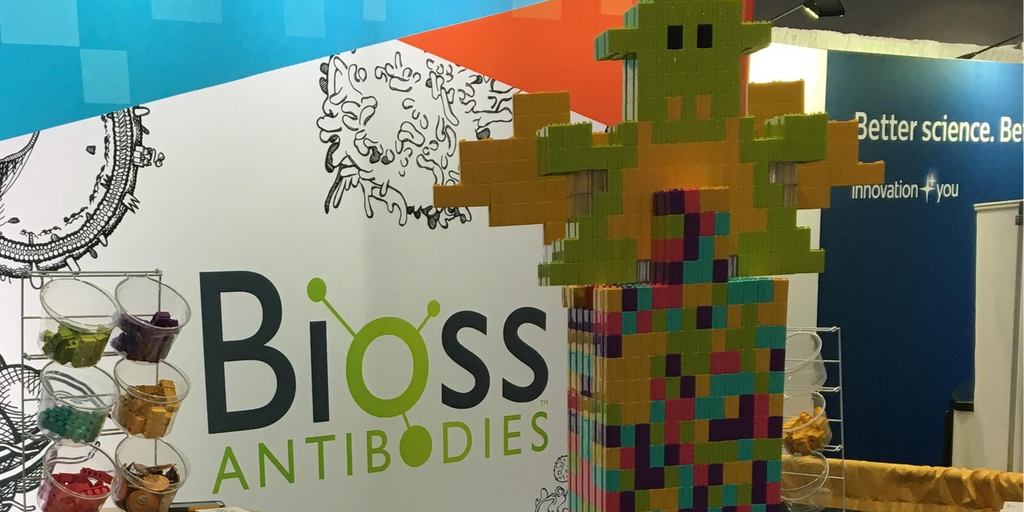 View the Results from IgGy's Tower at SfN 2018