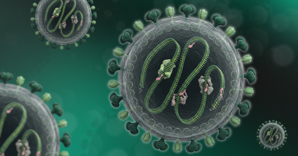Nipah Virus Related Recombinant Proteins