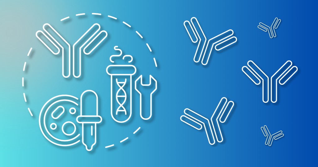 Are Recombinant Monoclonal Antibodies the Ultimate Solution for Batch-to-Batch Consistency in Research?
