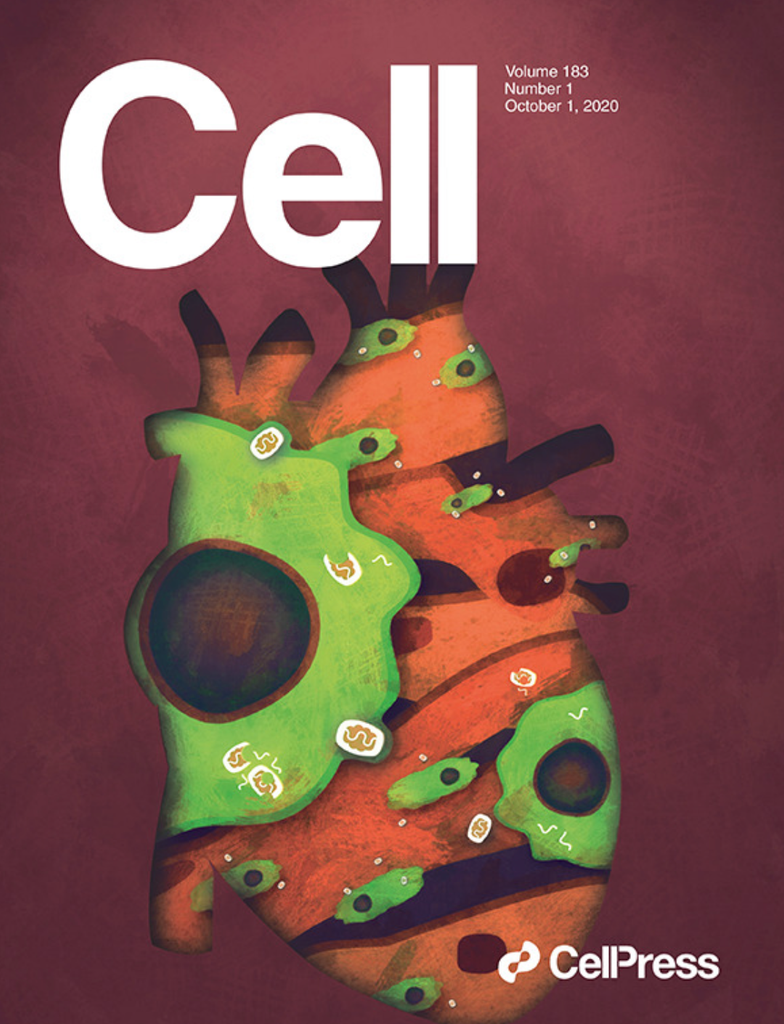 Bioss Antibodies Facilitate Your Scientific Discoveries