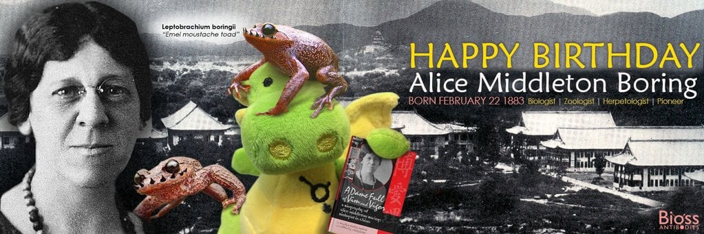 Happy Birthday Dr. Alice Boring