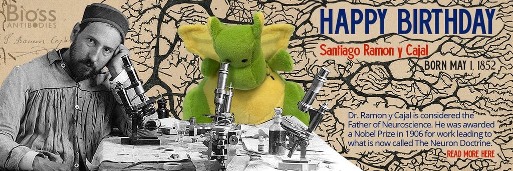 Happy Birthday Dr. Ramon y Cajal