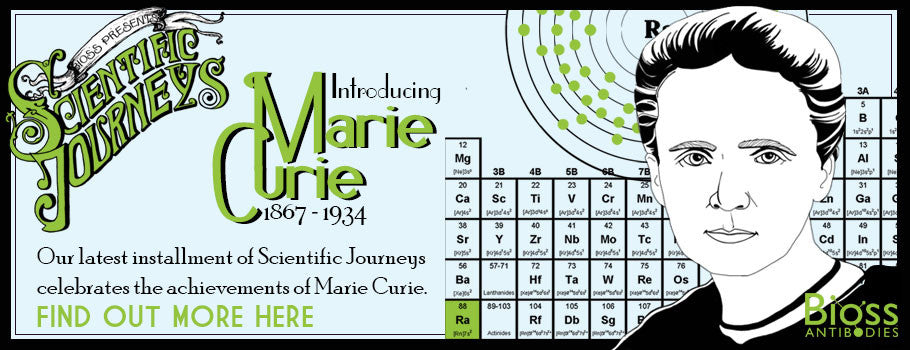 Meet Dr. Marie Curie!