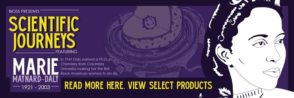 Meet Dr. Marie Maynard Daly!