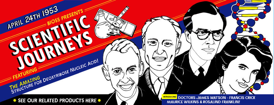 Meet Watson, Crick, Watkins and Franklin in their quest for DNA!