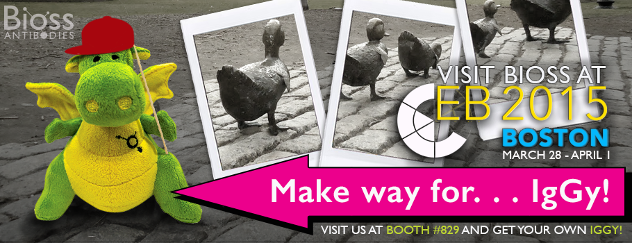 Join us in Boston for Experimental Biology 2015!