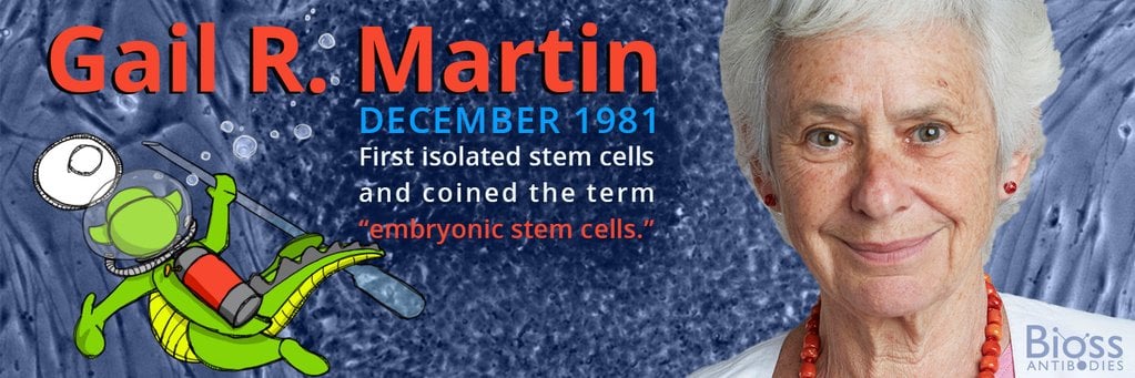 We celebrate Dr. Gail R. Martin!