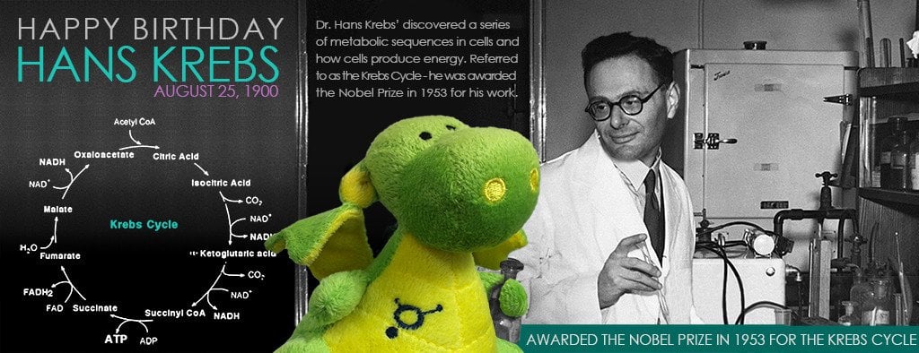 Happy Birthday Dr. Hans Krebs!