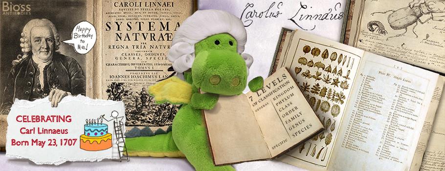 Happy Birthday Carl Linnaeus!