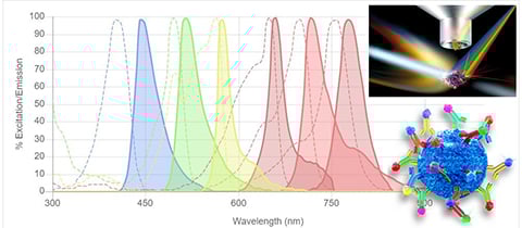 Isotype Controls in Flow Cytometry