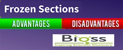 Frozen Sample Preparation for Immunohistochemical Assays