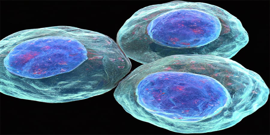 Considerations of Fluorochrome Selection for Flow Cytometry