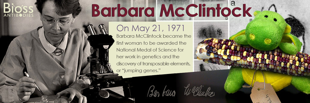 Meet Dr. Barbara McClintock