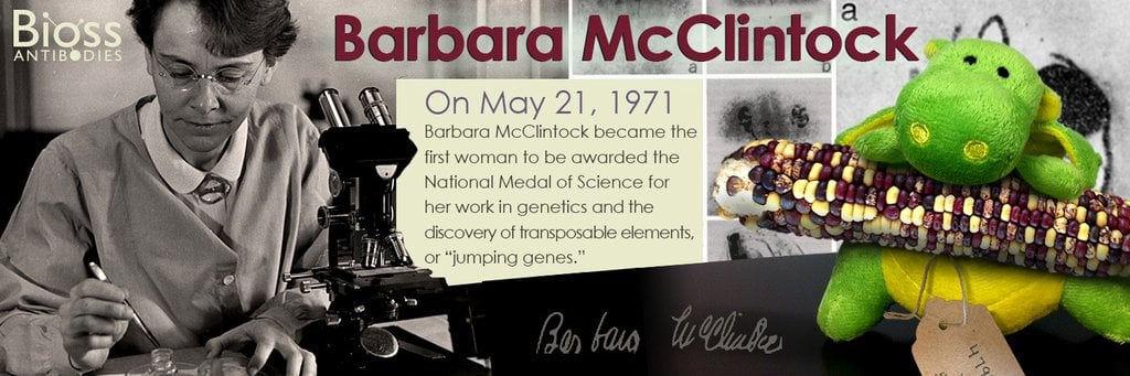 Meet Dr. Barbara McClintock