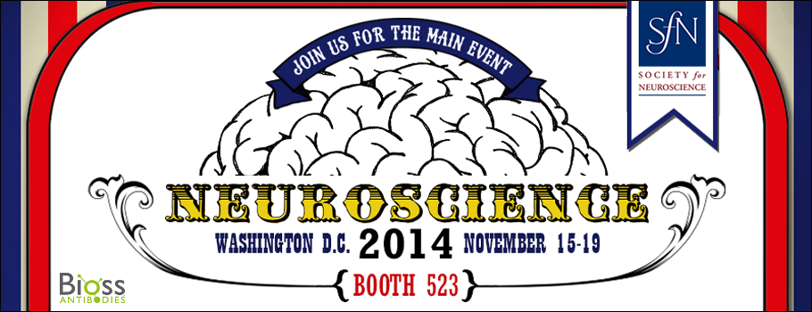 Join us at Neuroscience 2014 in Washington D.C.!