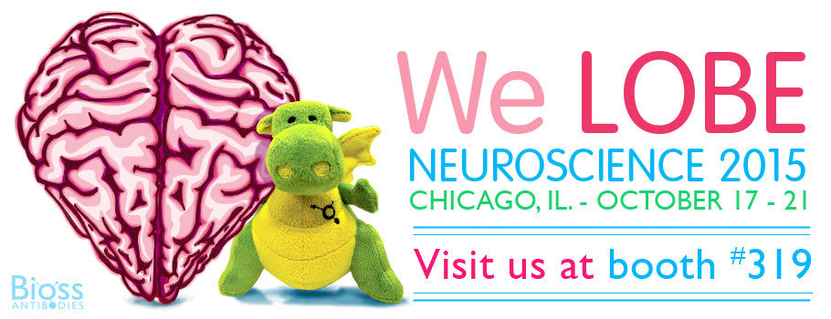 Join us in Chicago for Neuroscience 2015