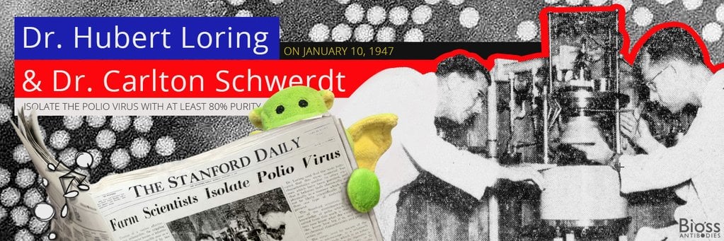 Polio Virus Isolated!