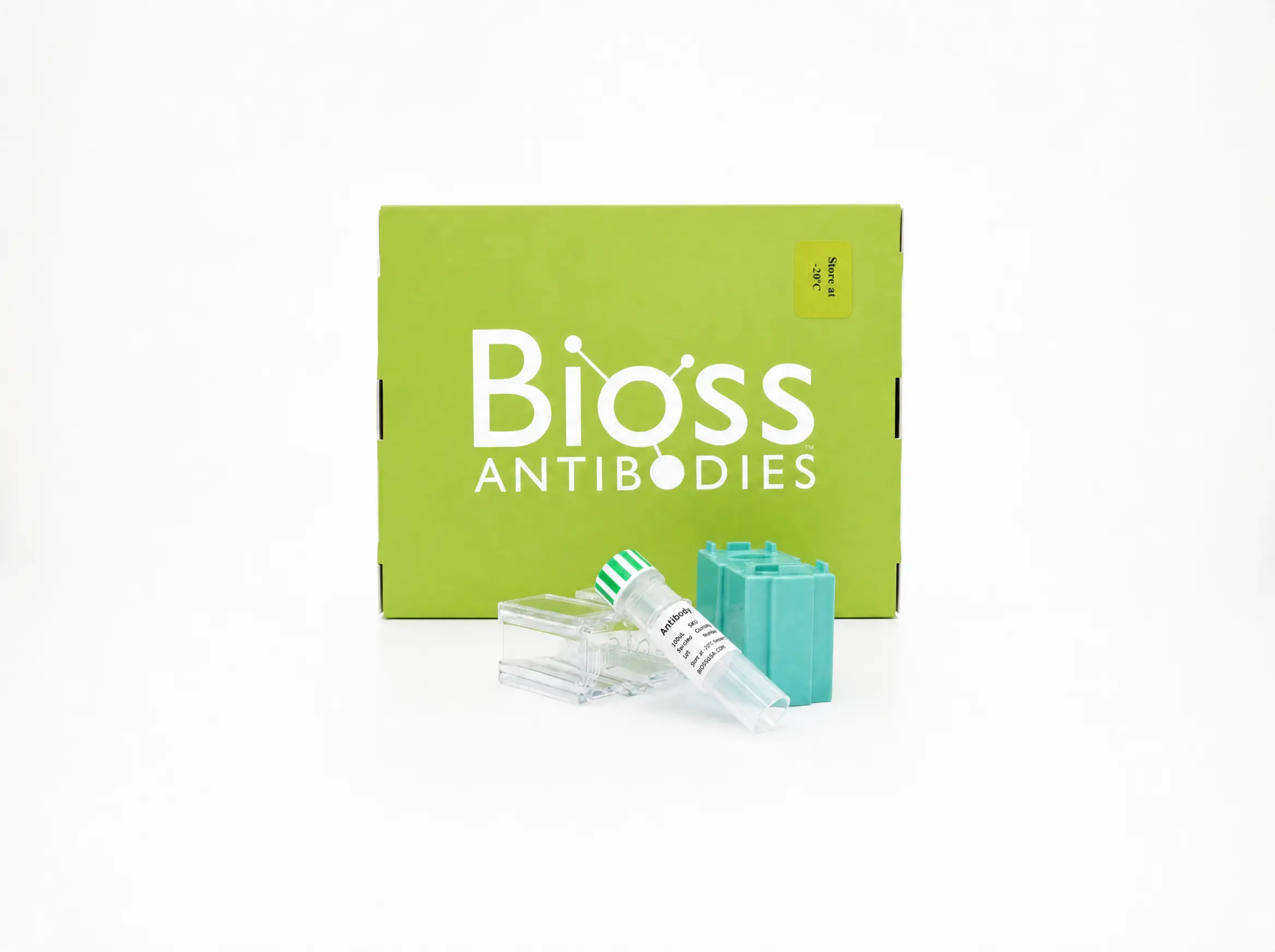 Bioss unconjugated antibody vial