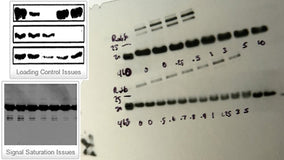 LOADING CONTROL SELECTION FOR DIFFERENT SAMPLES