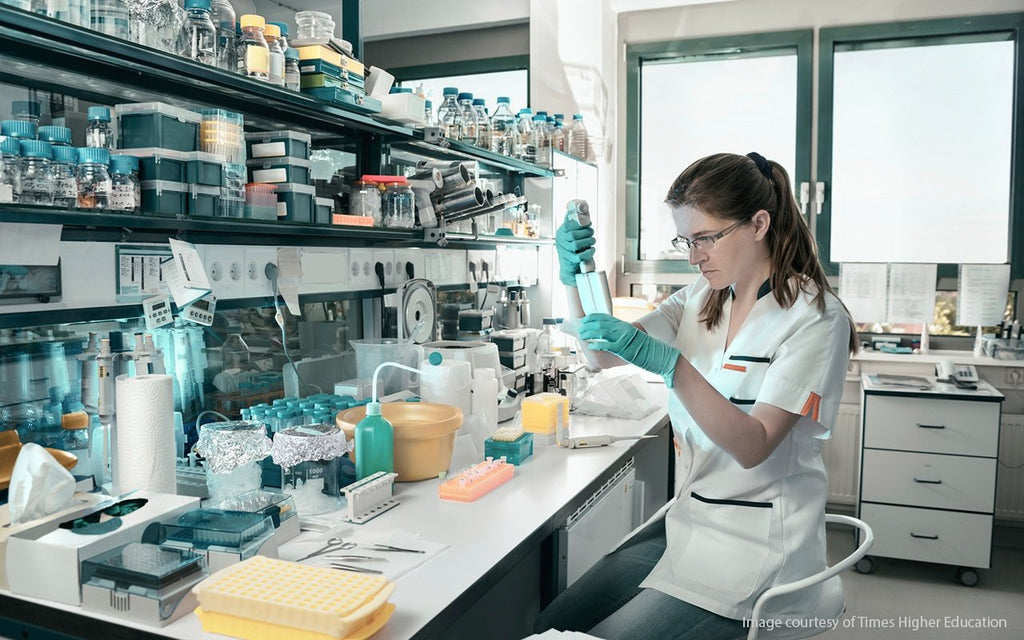 Why You (Maybe) Shouldn't Fractionate That Western Blot Sample