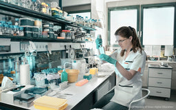 Why You (Maybe) Shouldn't Fractionate That Western Blot Sample
