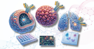 Organoids and Antibodies: A Lasting Partnership