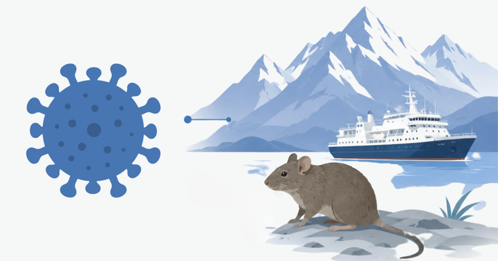 Hantavirus Is Not One Virus: Why Taiwan’s Cases and the MV Hondius Cruise Ship Outbreak Cannot Be Conflated