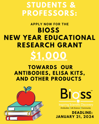 New Year Educational Grant