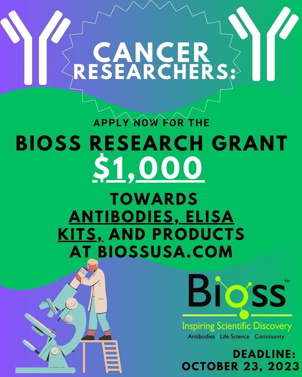 Cancer Research Grant