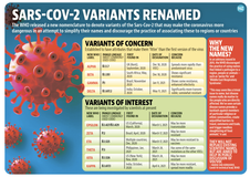 The fully vaccinated should not worry about the Delta variant