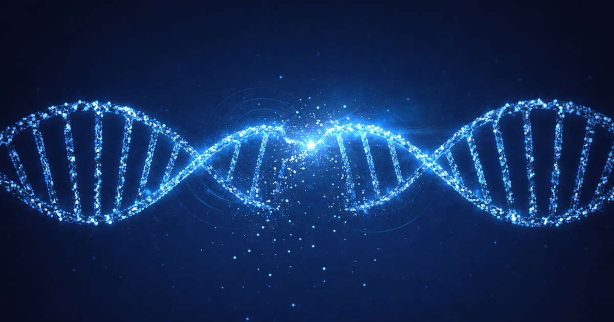 When the Blueprint of Life Is Damaged: Why DNA Damage Research Matters