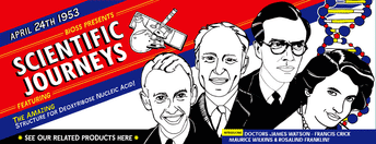 Meet Watson, Crick, Watkins and Franklin in their quest for DNA!