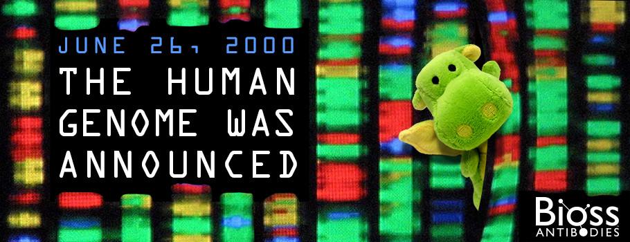 On June 26th, 2000 . . .