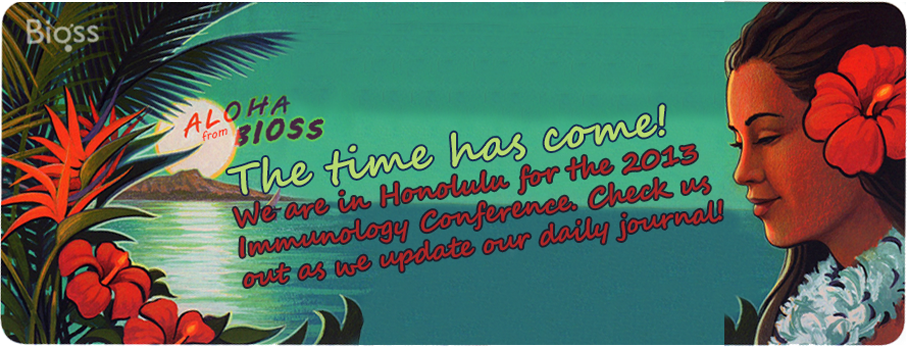 Join us at AAI 2013 in Honolulu!