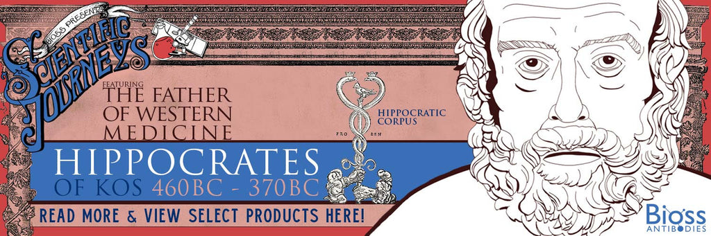 Introducing Hippocrates