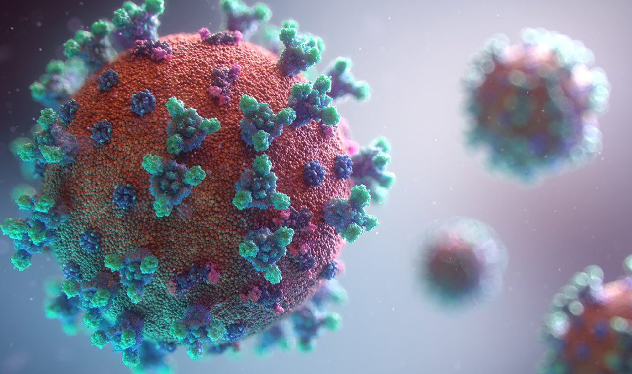 Protective Antibodies Against COVID-19 Isolated & Characterized