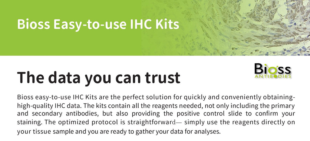 Frequently Asked Questions about Protein Lyophilization and Reconstitution