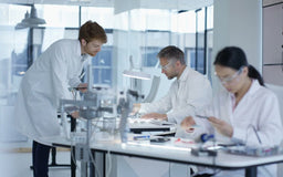 Learn Western Blotting with These Open-Access Articles