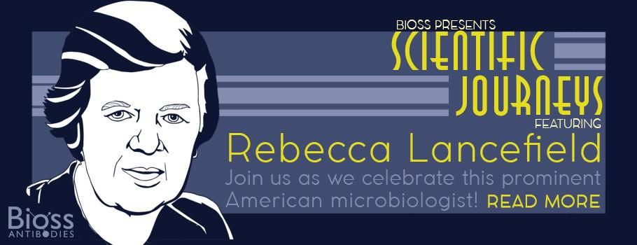 Meet Rebecca Lancefield!