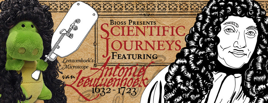 Introducing Antonie van Leeuwenhoek