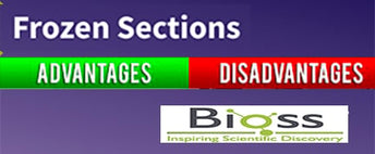 Frozen Sample Preparation for Immunohistochemical Assays