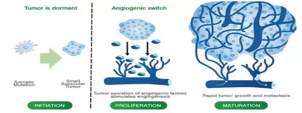 What Do You know about Vascular Endothelial Growth Factor in Cancer Diagnosis?