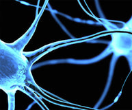 Exploring the Debate on Glial-to-Neuron Conversion