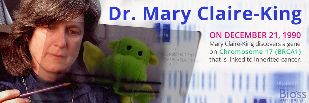 Meet Mary Claire-King