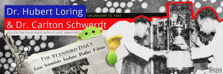 Polio Virus Isolated!