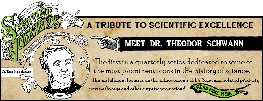 Meet Dr. Theodor Scwann!